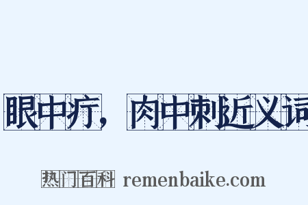 眼中疔，肉中刺近义词是什么意思的图片